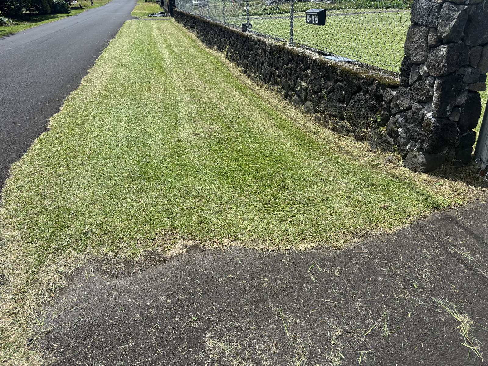 Same lawn edge freshly mowed in clean stripes along the lava rock wall
