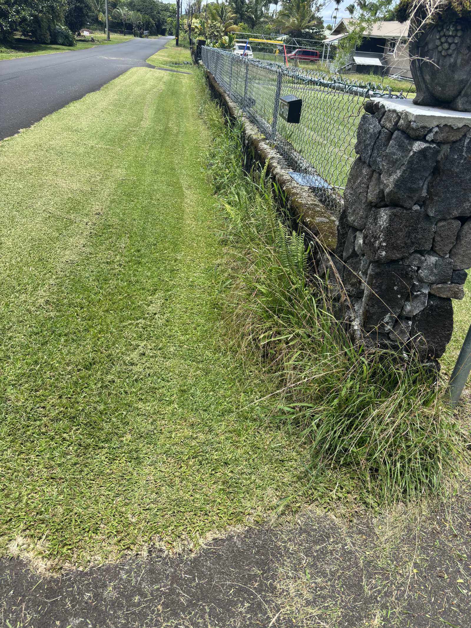 Lava rock wall with chain-link fence and red ti plants after a yard clean up